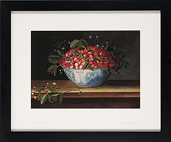 Work by Nancy Becker